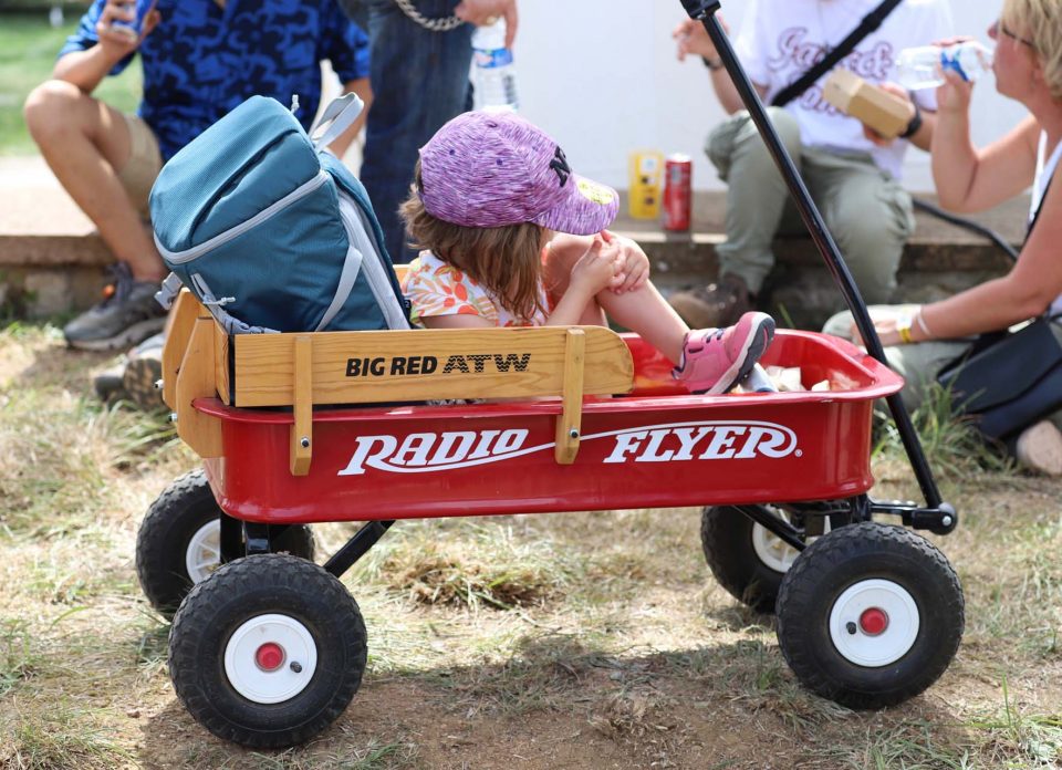 French VW Bus Meeting
