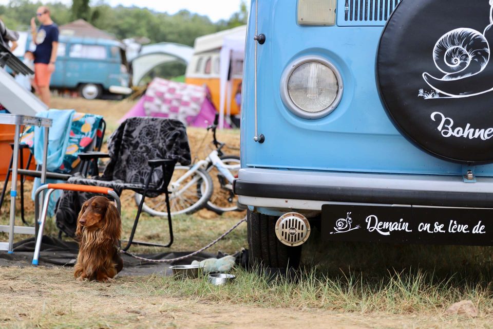French VW Bus Meeting