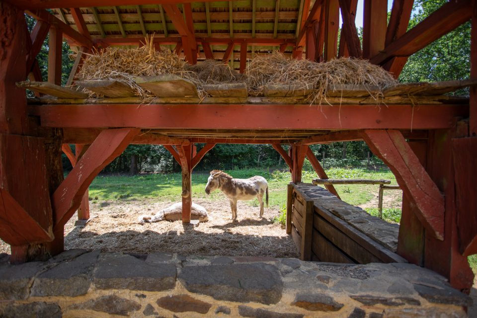 Château de Guédelon