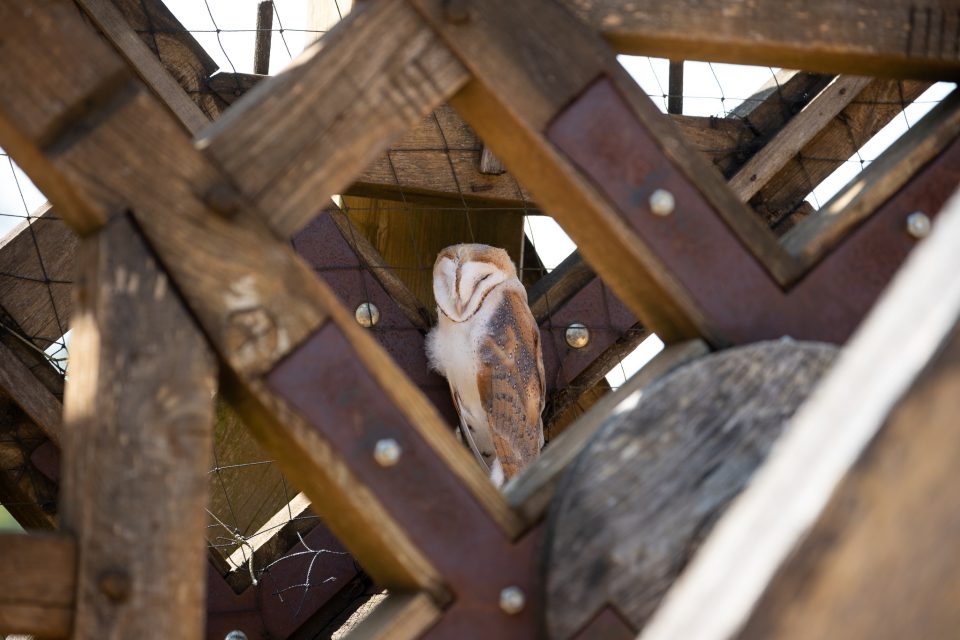 Château de Guédelon