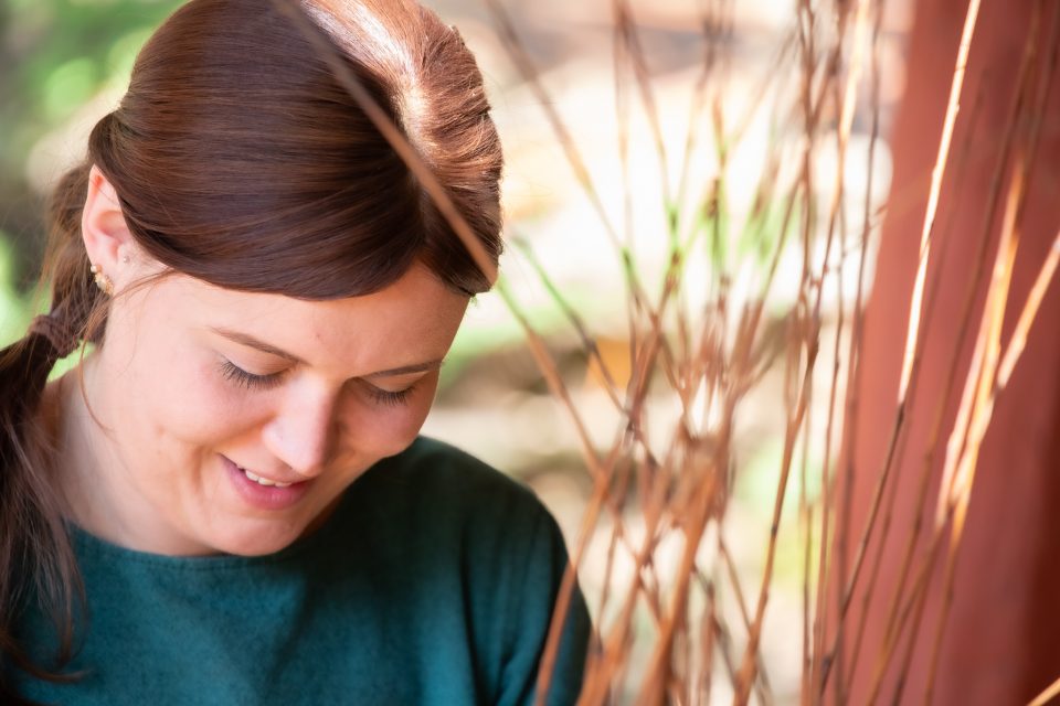 Château de Guédelon